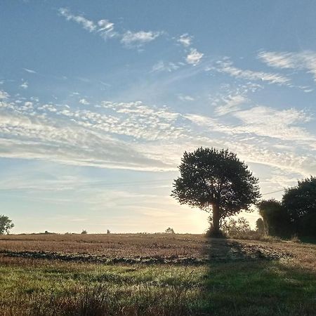 Au Mont & Merveilles Sartilly-Baie-Bocage Kültér fotó